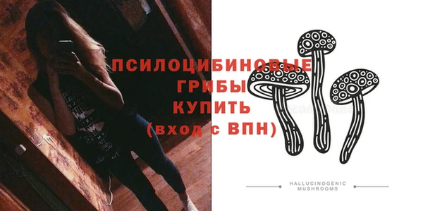 ГАЛЛЮЦИНОГЕННЫЕ ГРИБЫ Бородино