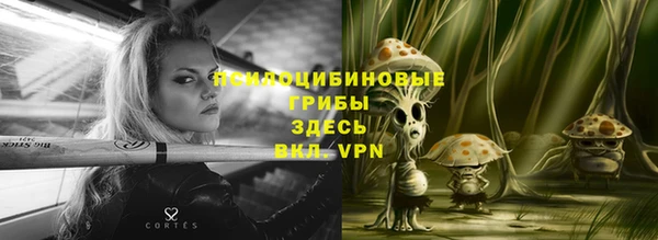 ГАЛЛЮЦИНОГЕННЫЕ ГРИБЫ Бородино