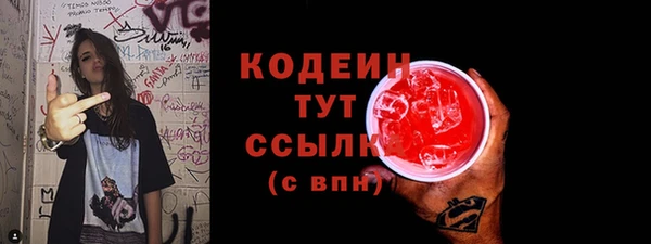 ГАЛЛЮЦИНОГЕННЫЕ ГРИБЫ Бородино