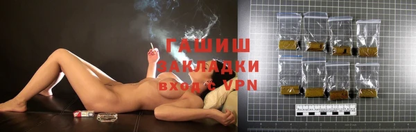 ГАЛЛЮЦИНОГЕННЫЕ ГРИБЫ Бородино