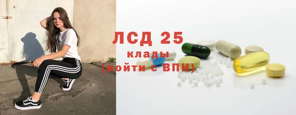 ГАЛЛЮЦИНОГЕННЫЕ ГРИБЫ Бородино