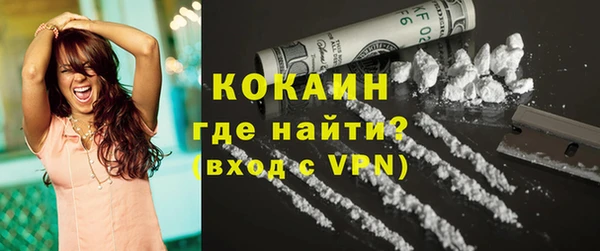 ГАЛЛЮЦИНОГЕННЫЕ ГРИБЫ Бородино